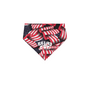 Ballard Doggie Skins USA-Made Doggie Bandana with Screen Printed Logo