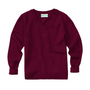 Classroom Unisex V-Neck Sweater in Burgundy