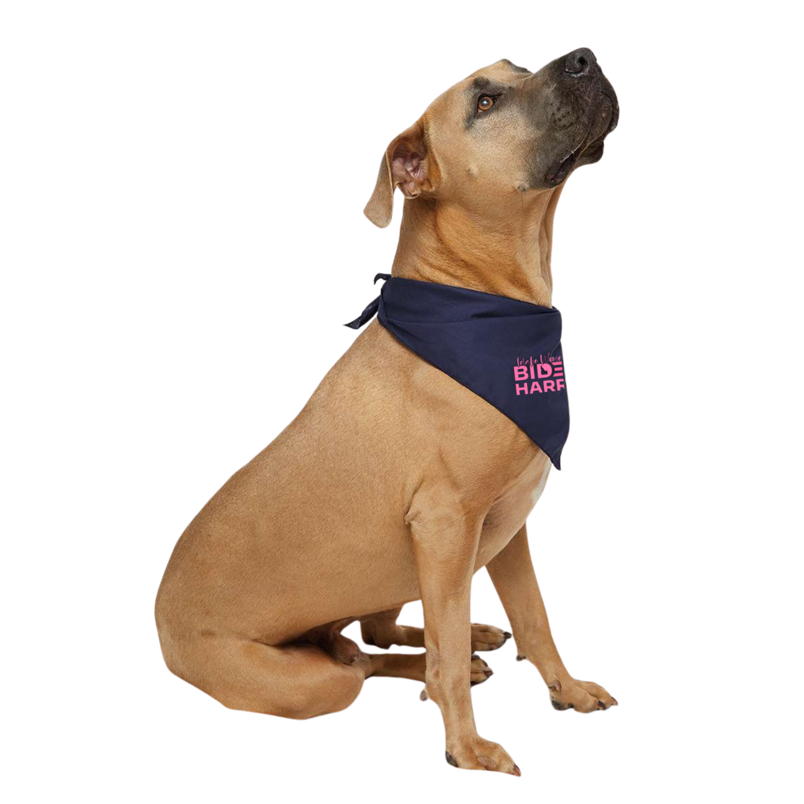 Women for Biden Doggie Skins USA-Made Doggie Bandana with Embroidered Logo