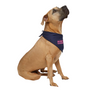 Women for Biden Doggie Skins USA-Made Doggie Bandana with Embroidered Logo